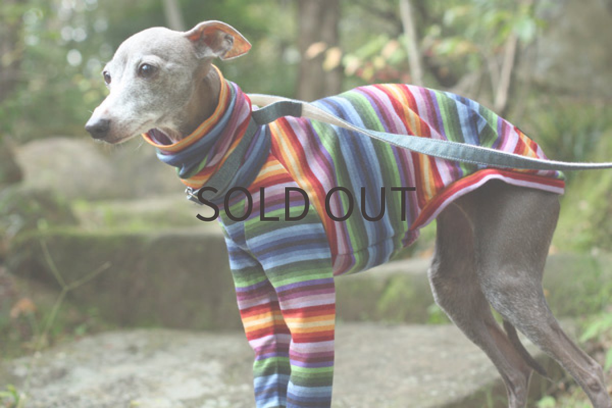 画像2: 虹色ボーダー（オレンジ） (2)