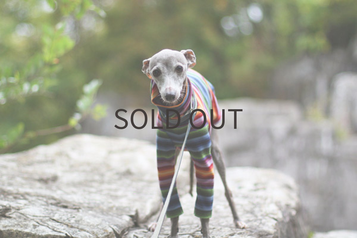 画像3: 虹色ボーダー（オレンジ） (3)