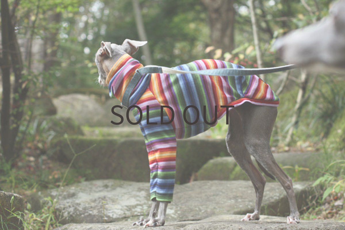 画像5: 虹色ボーダー（オレンジ） (5)