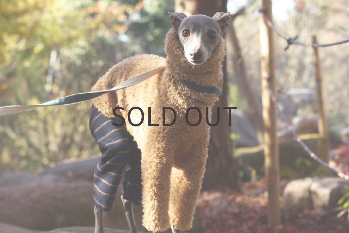 画像4: フワボア+圧縮ウールのパンツ（ベージュ） (4)