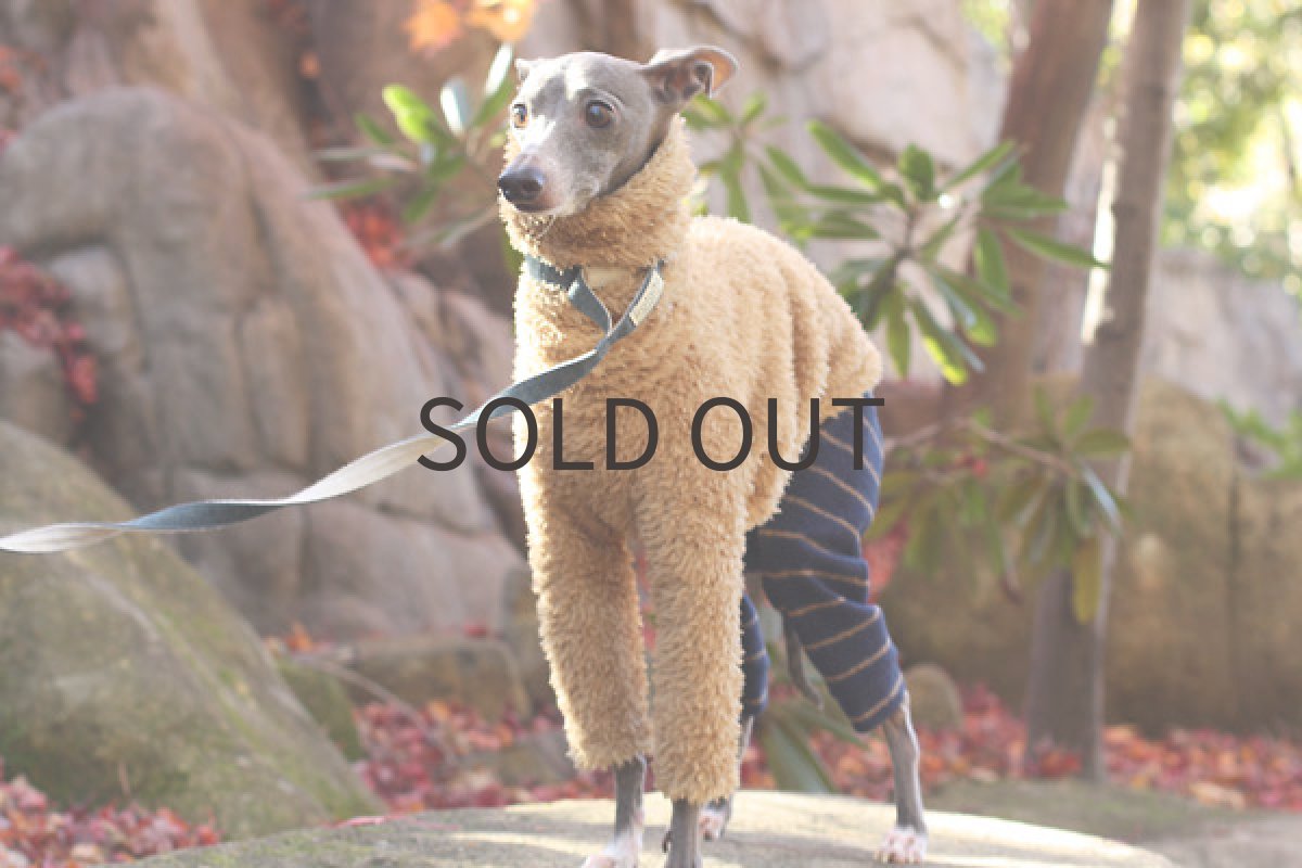 画像3: フワボア+圧縮ウールのパンツ（ベージュ） (3)