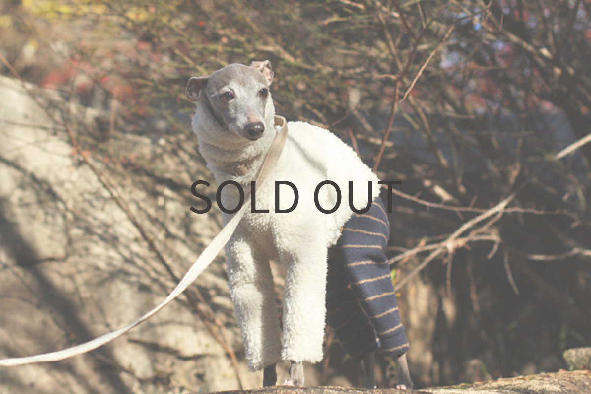 画像4: フワボア+圧縮ウールのパンツ（ホワイト） (4)