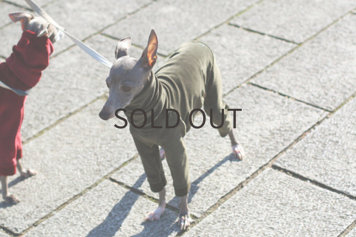 画像3: コットンベロアのロンパ（モスグリーン） (3)