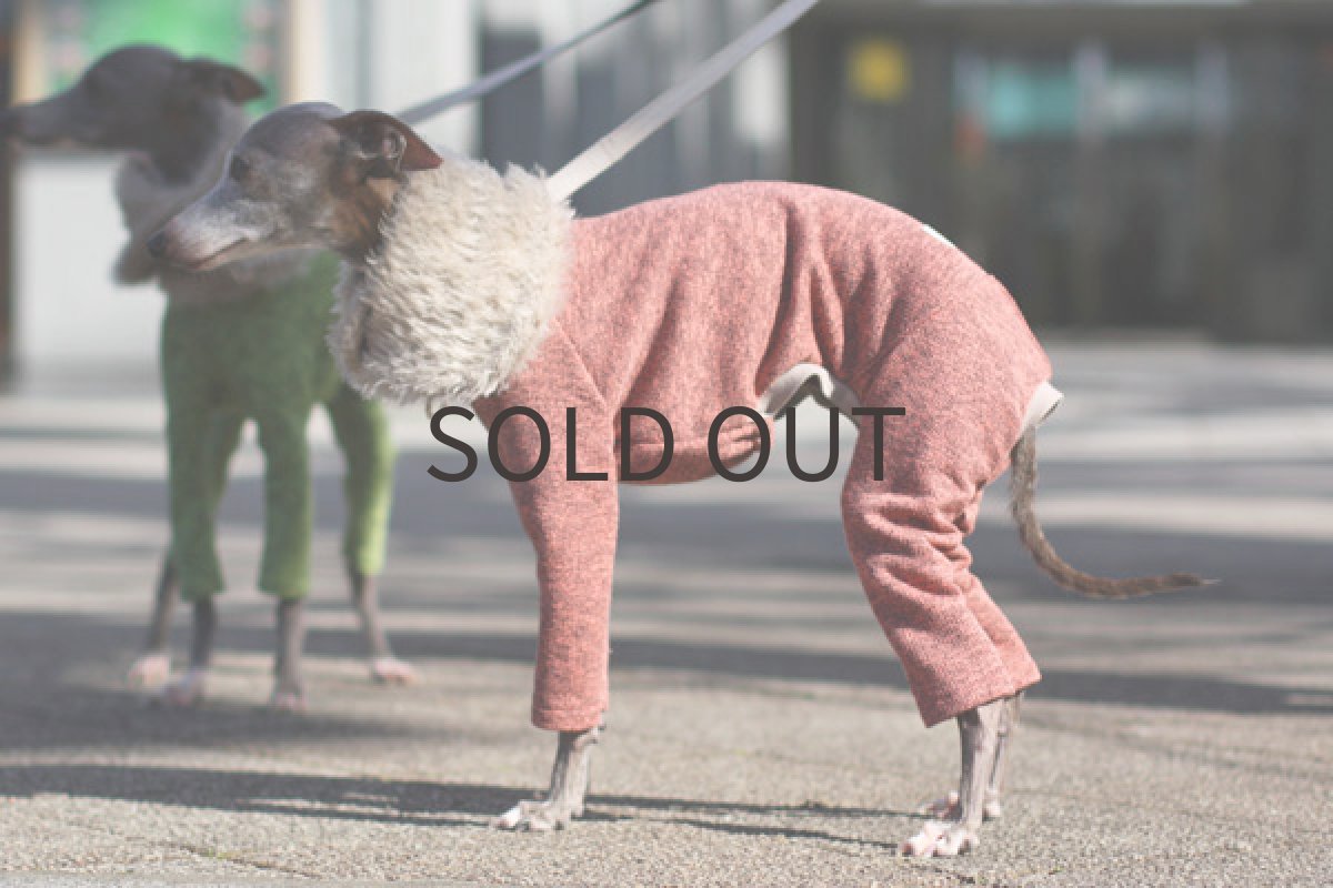 イタグレ服 ミックス裏毛のリングネック（オレンジピンク） 横