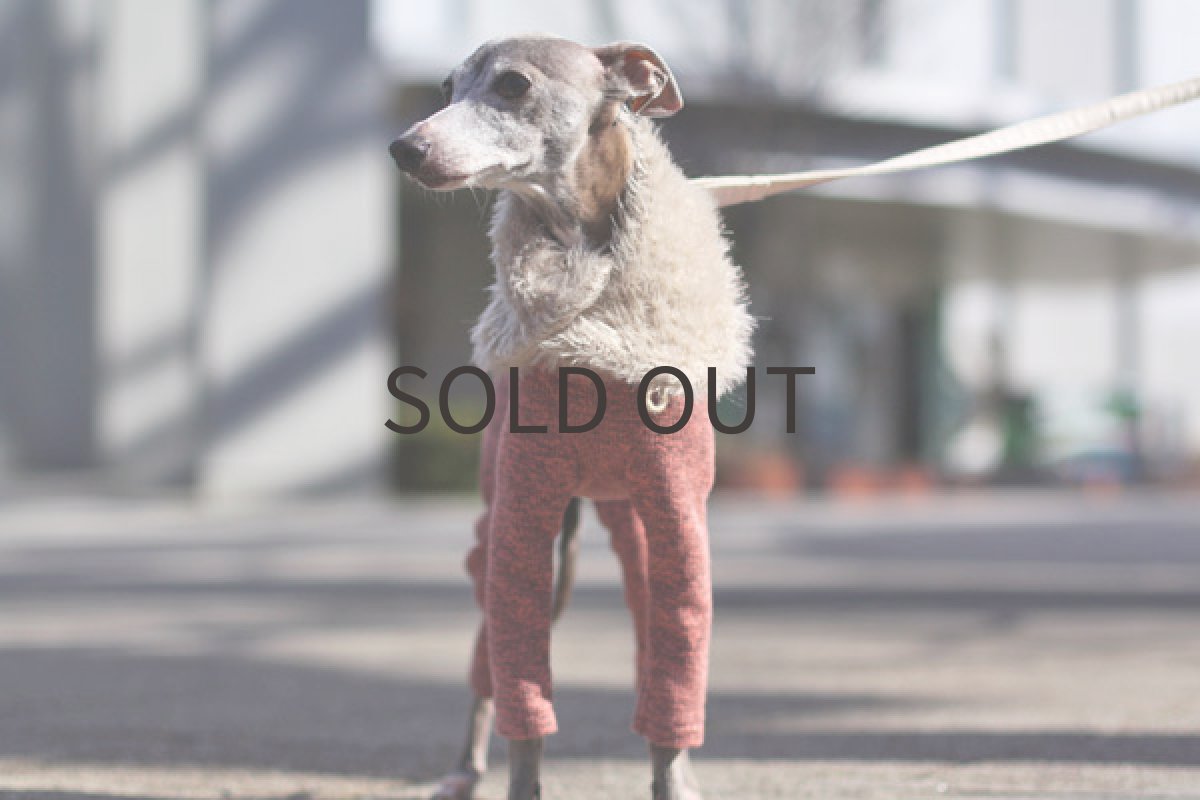 イタグレ服 ミックス裏毛のリングネック（オレンジピンク） 前