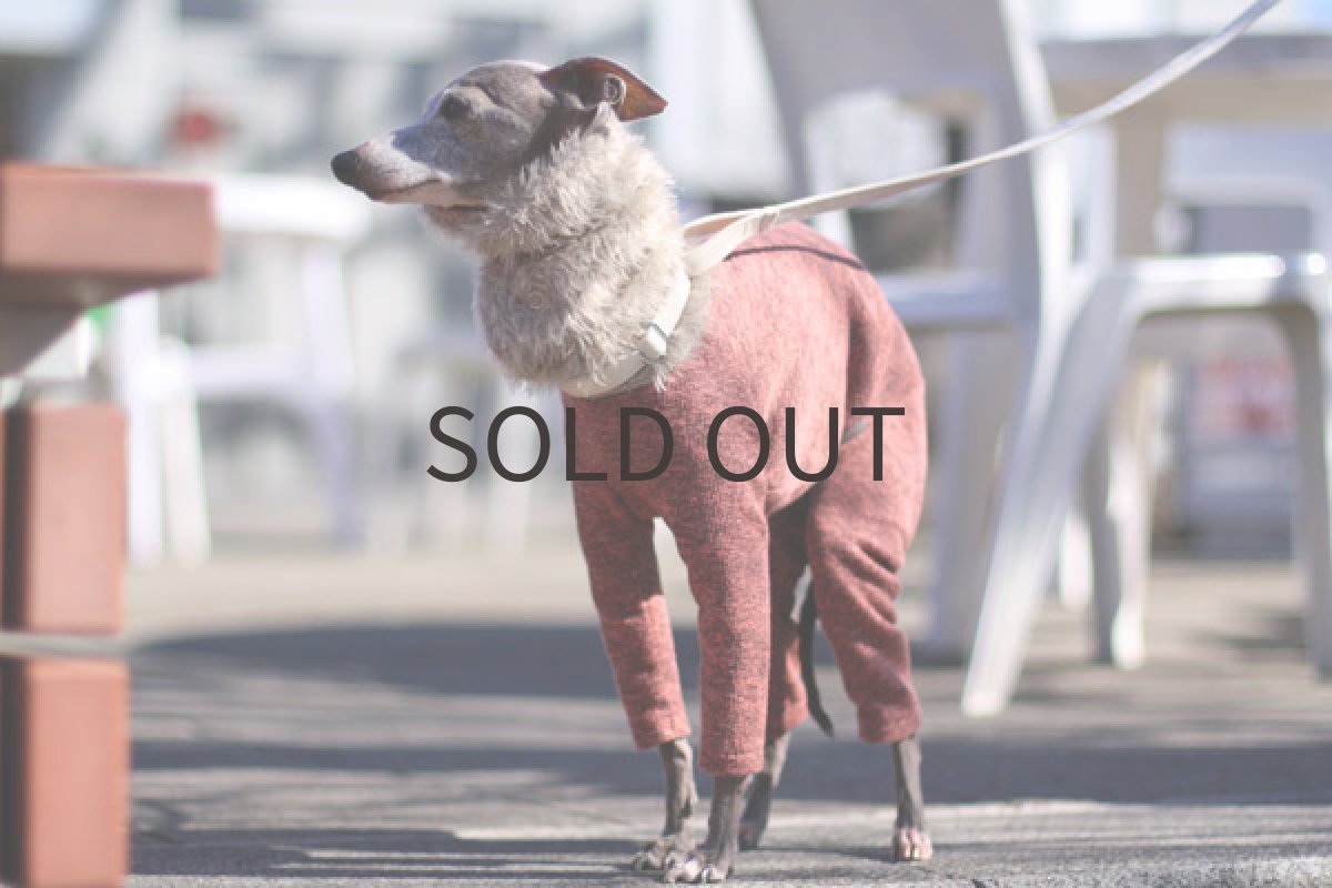 イタグレ服 ミックス裏毛のリングネック（オレンジピンク） 全身前