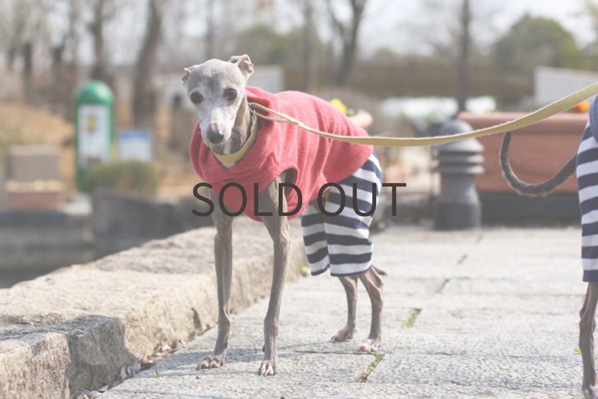 画像4: ビンテージ風パイルのロンパ（オレンジピンク） (4)