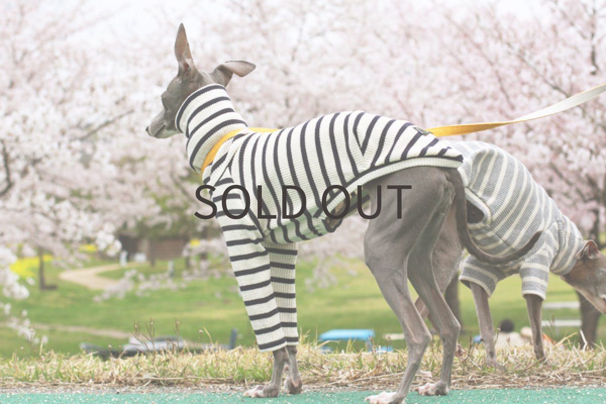 画像2: ワッフルニット（ホワイト） (2)