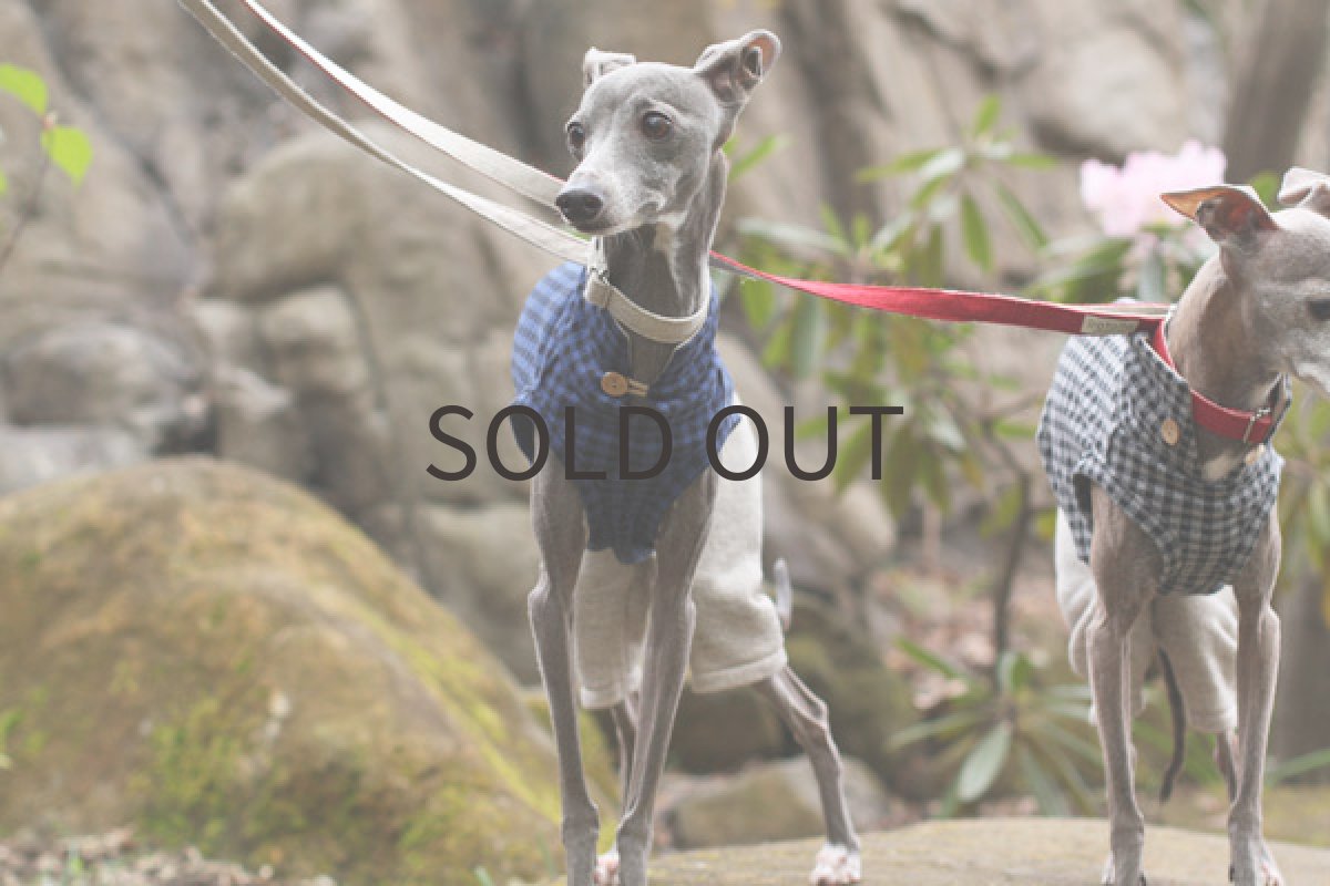 画像2: ギンガムチェックのロンパ(ネイビー) (2)