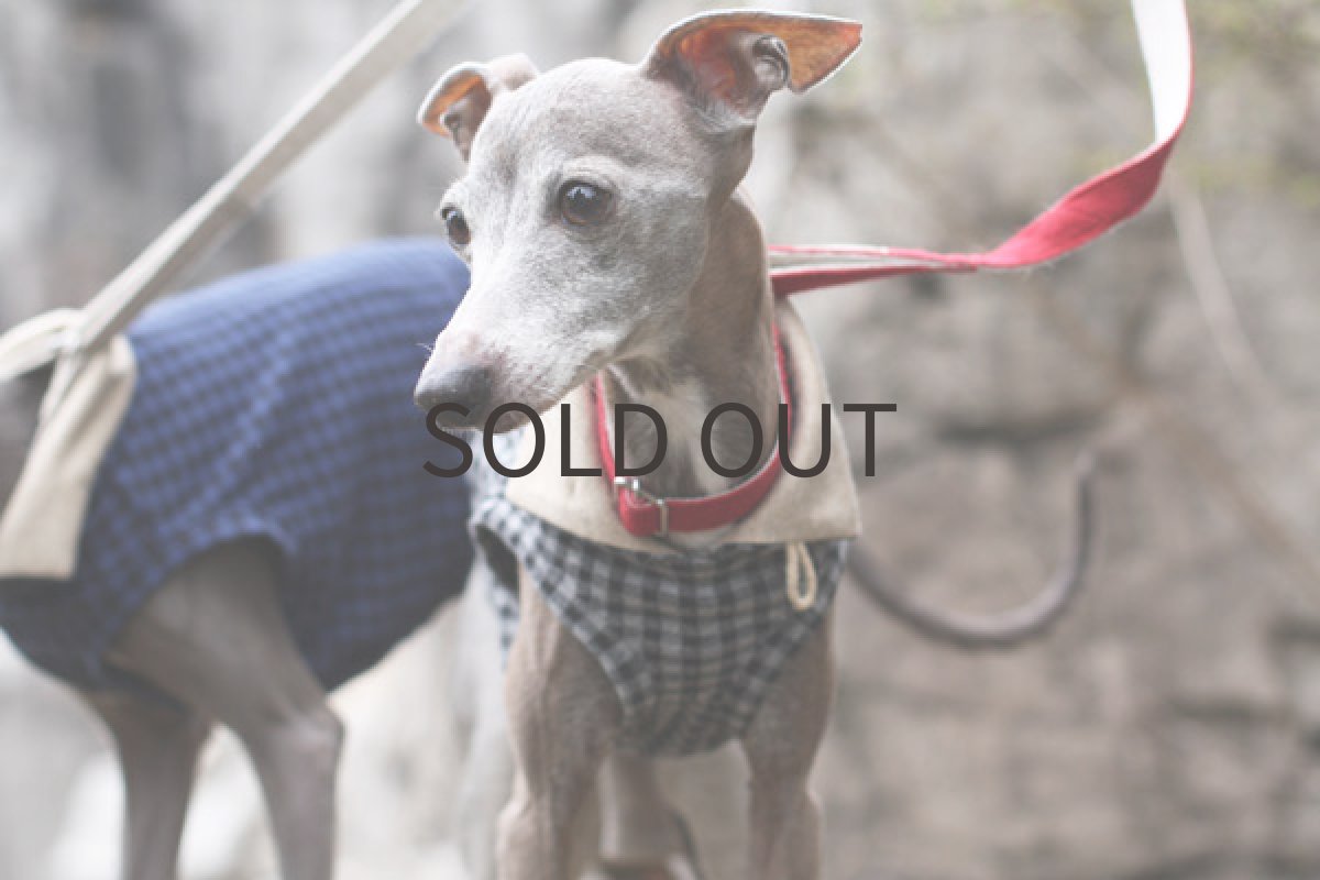 画像4: ギンガムチェックのロンパ（グレー） (4)