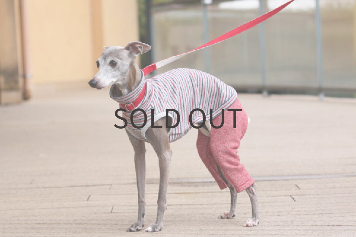 画像5: デニム風ボーダーニットのロンパ（レッド） (5)