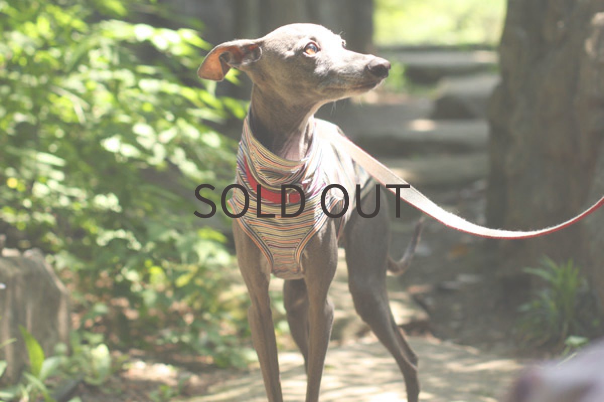 画像3: イタリー製ダブルシルケット（グリーン） (3)