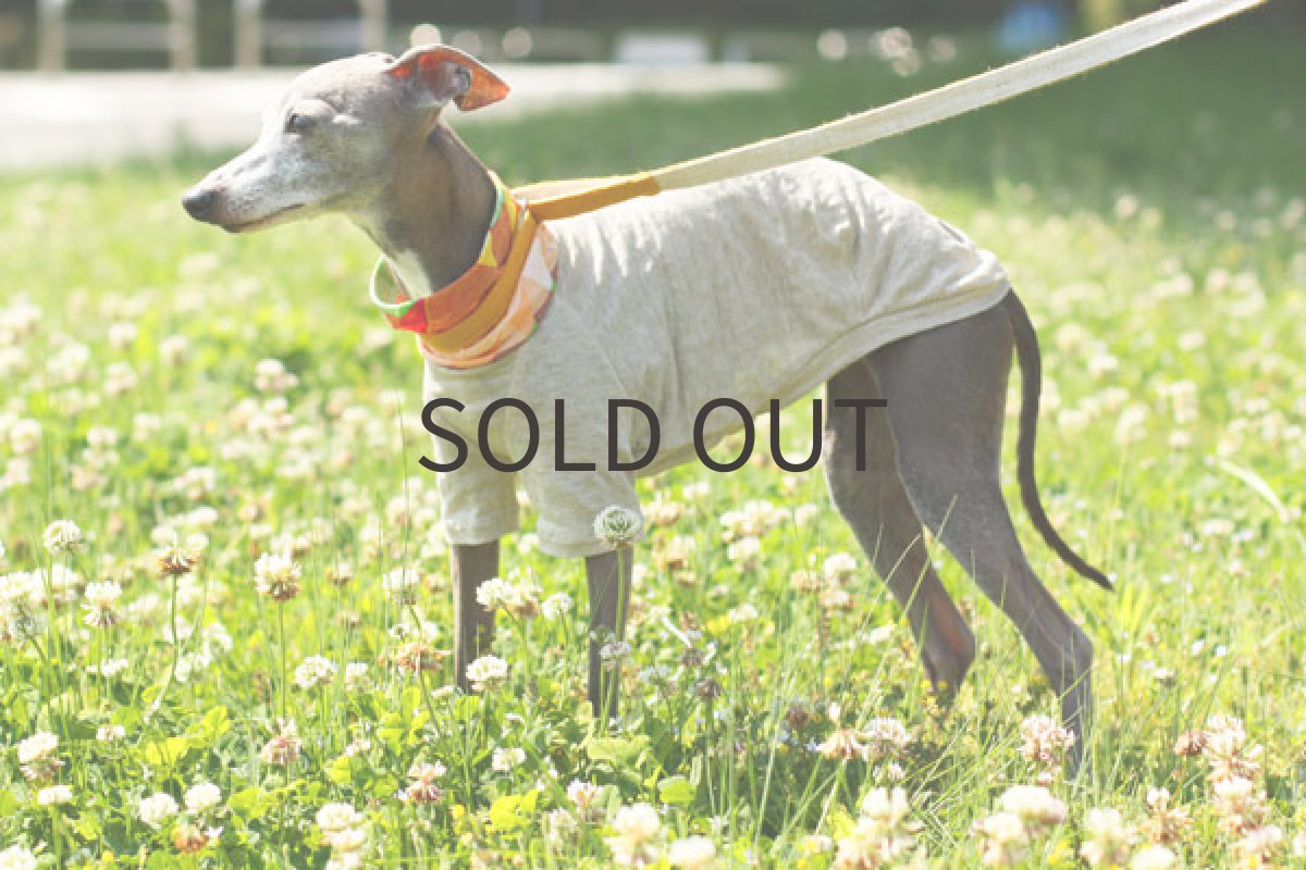 画像4: コットンネック＋リネンニット（グレー） (4)