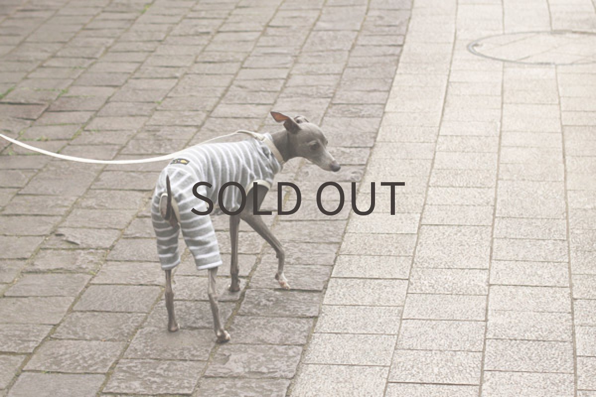 画像3: オーガニックコットンのロンパ(グレイ) (3)