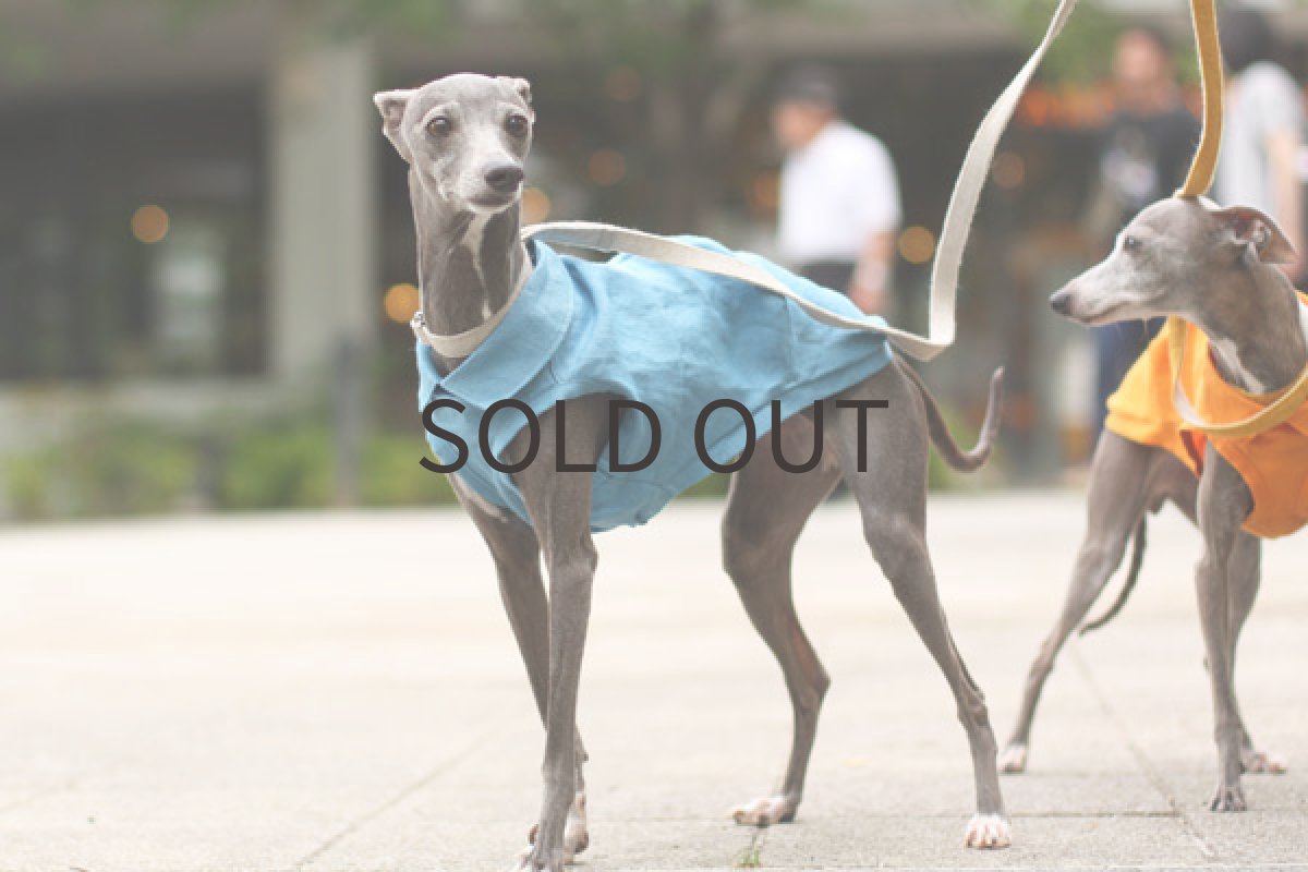 画像4: ベルギーリネンのタックシャツ（ブルー） (4)