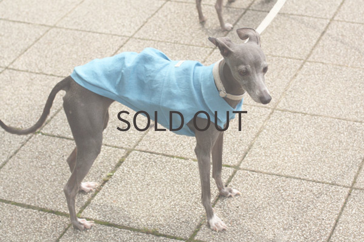 画像5: ベルギーリネンのタックシャツ（ブルー） (5)