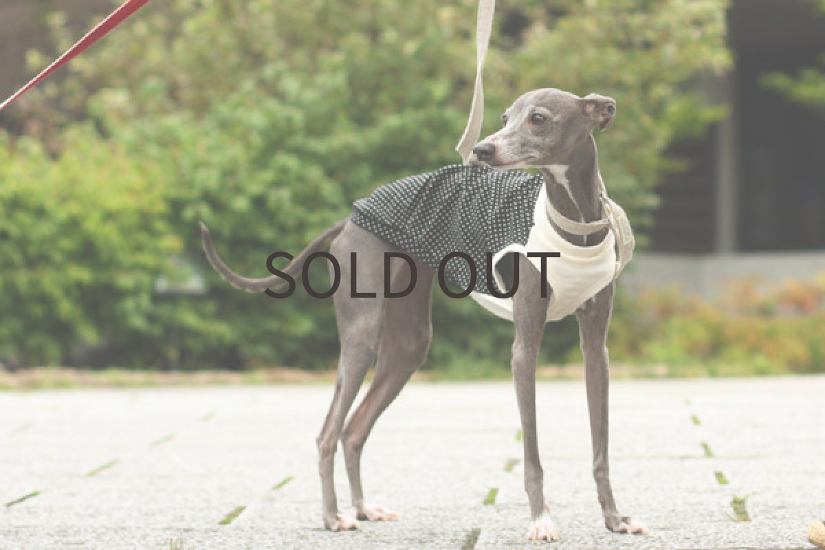 画像2: 水玉プリント（ブラック） (2)