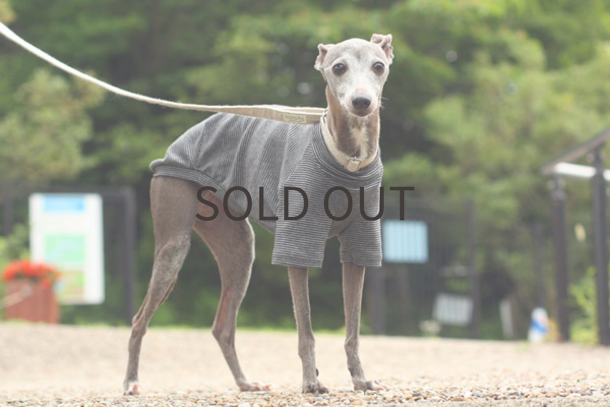 画像2: オーガニックコットンのシャツ（ボーダー） (2)