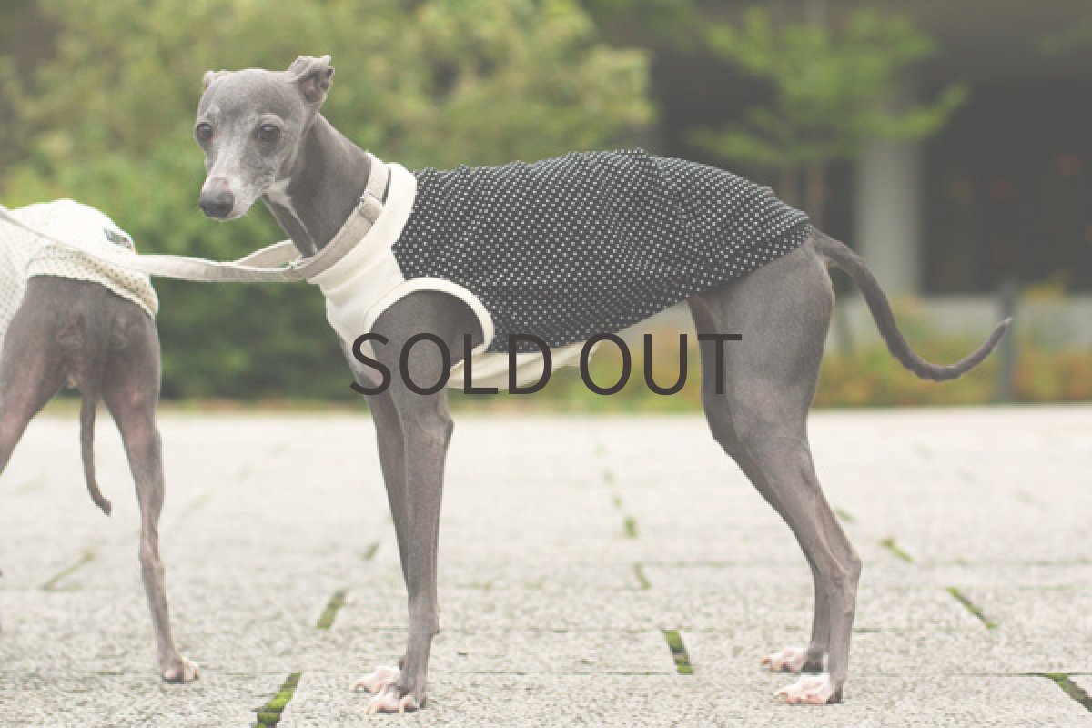 画像4: 水玉プリント（ブラック） (4)