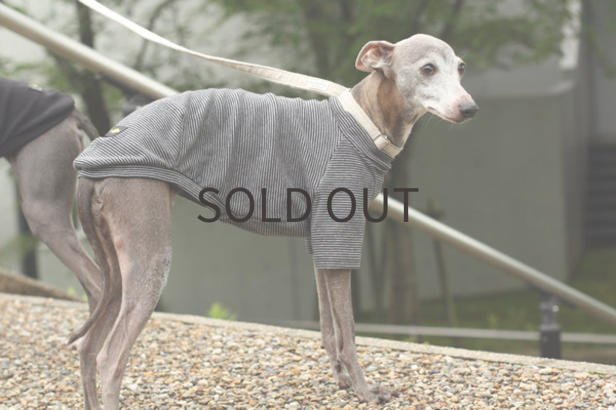 画像5: オーガニックコットンのシャツ（ボーダー） (5)