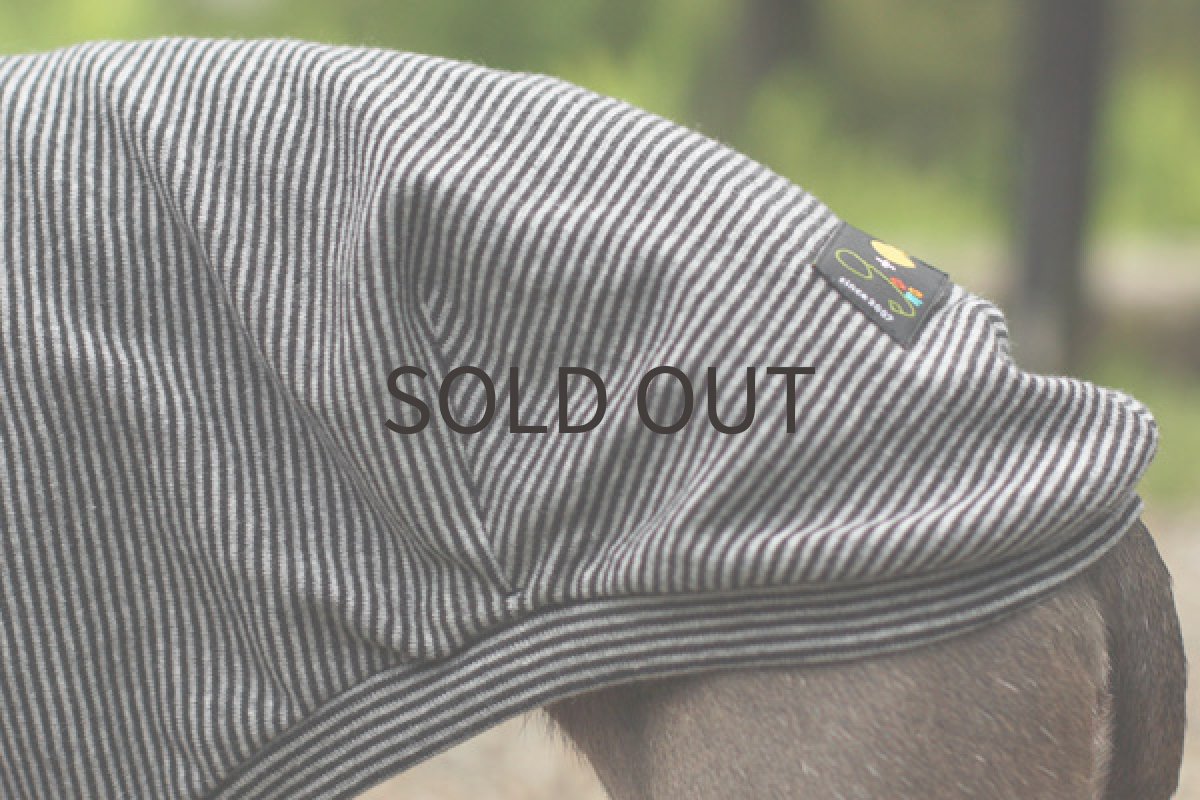 画像4: オーガニックコットンのシャツ（ボーダー） (4)