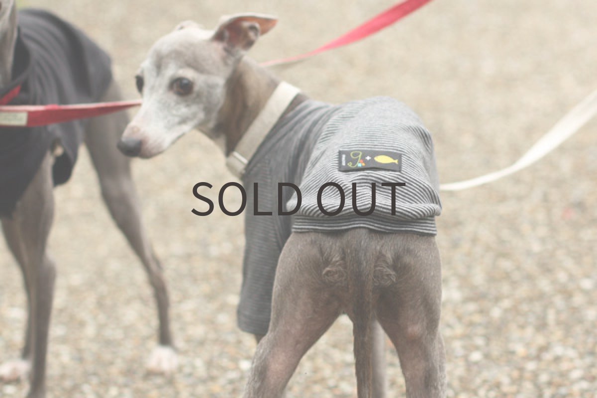 画像3: オーガニックコットンのシャツ（ボーダー） (3)