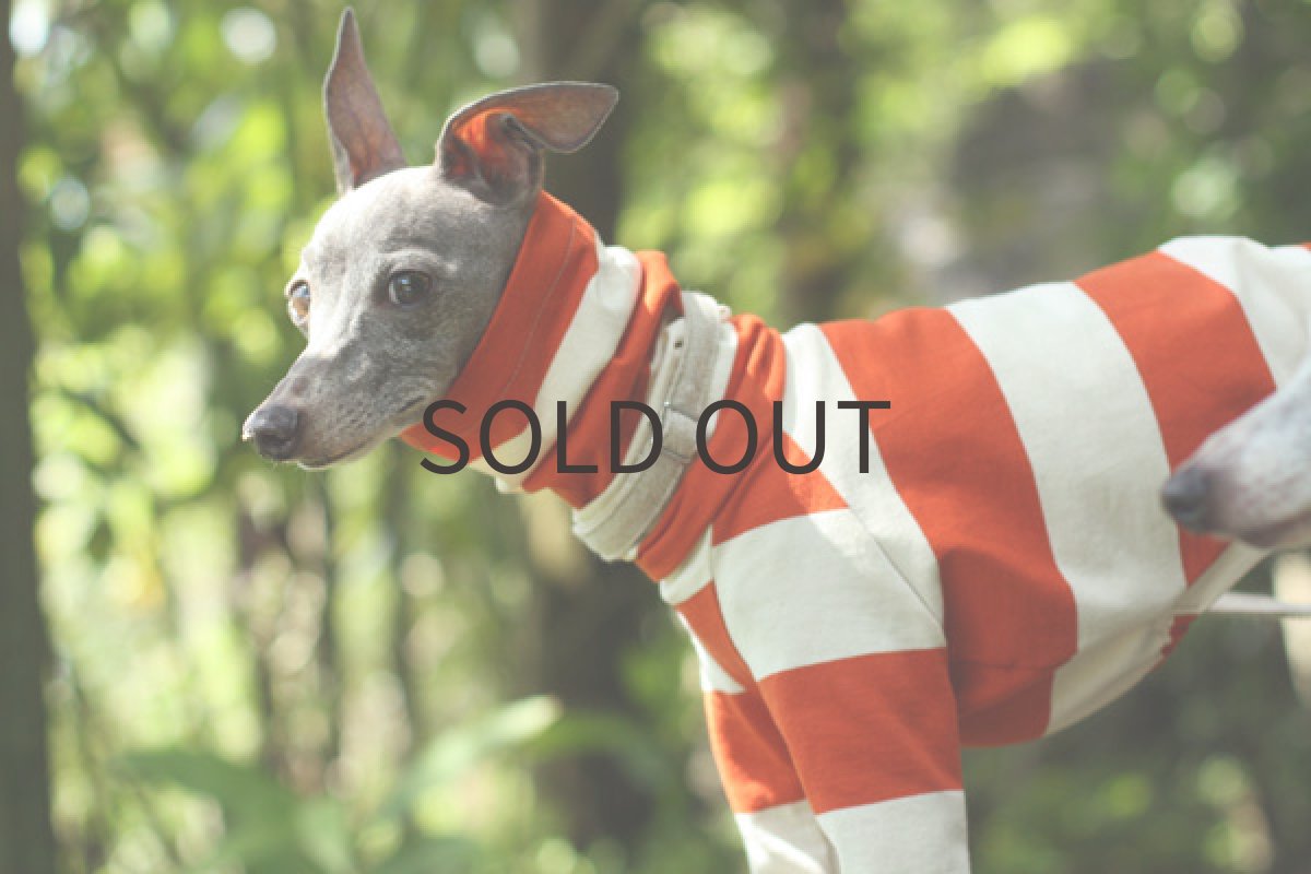 画像3: エーゲ海コットンのシャツ（バーミリオン） (3)