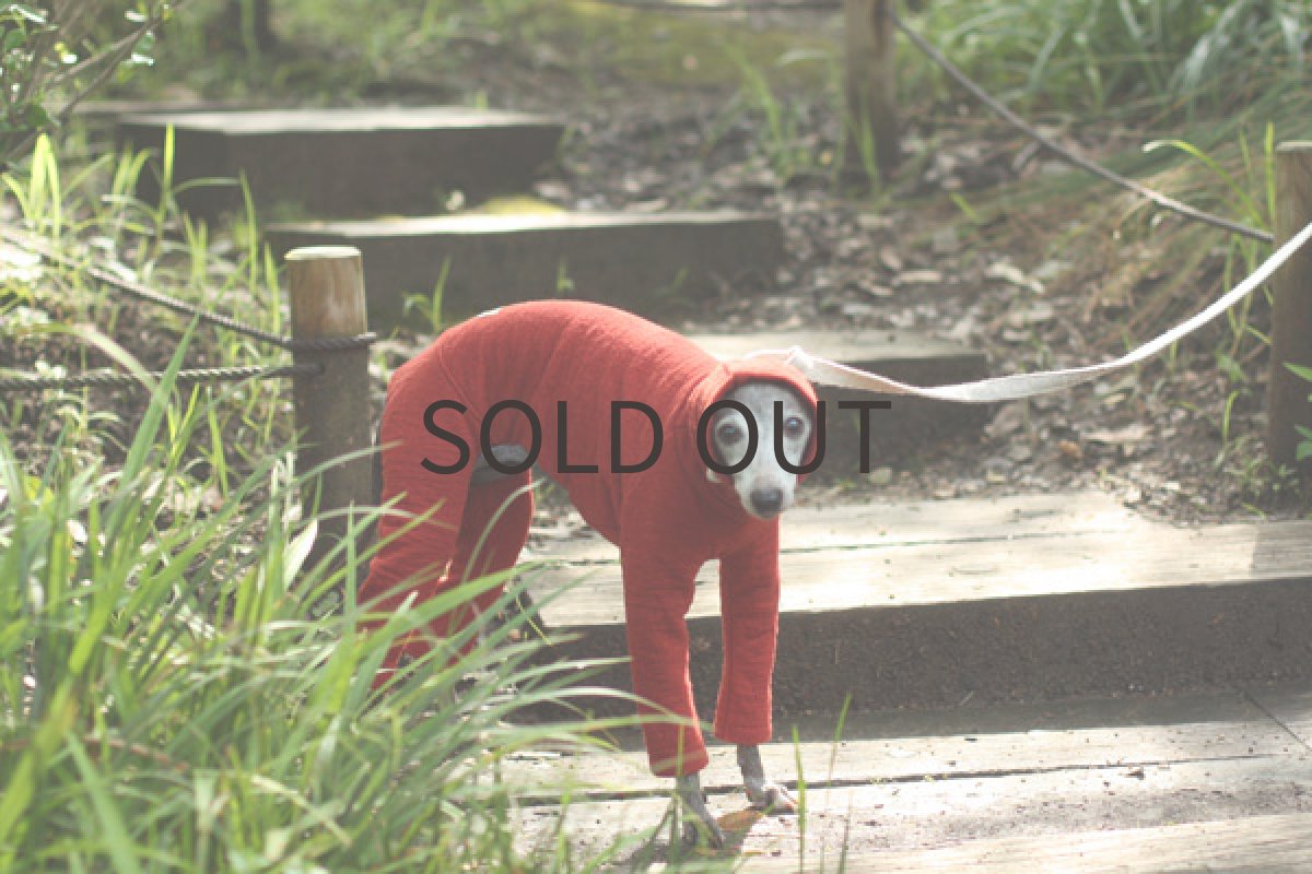 画像2: ウール混の接結ロンパ（カーディナルレッド） (2)