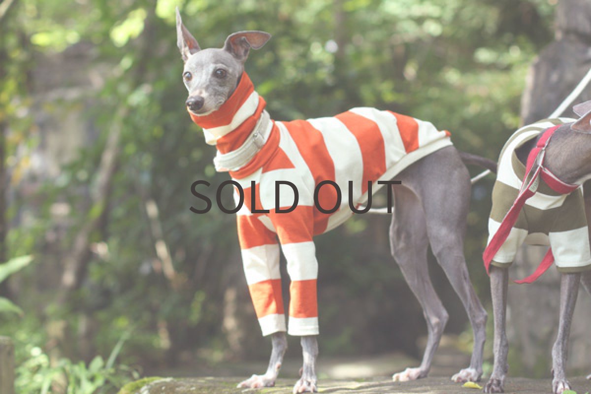 画像5: エーゲ海コットンのシャツ（バーミリオン） (5)