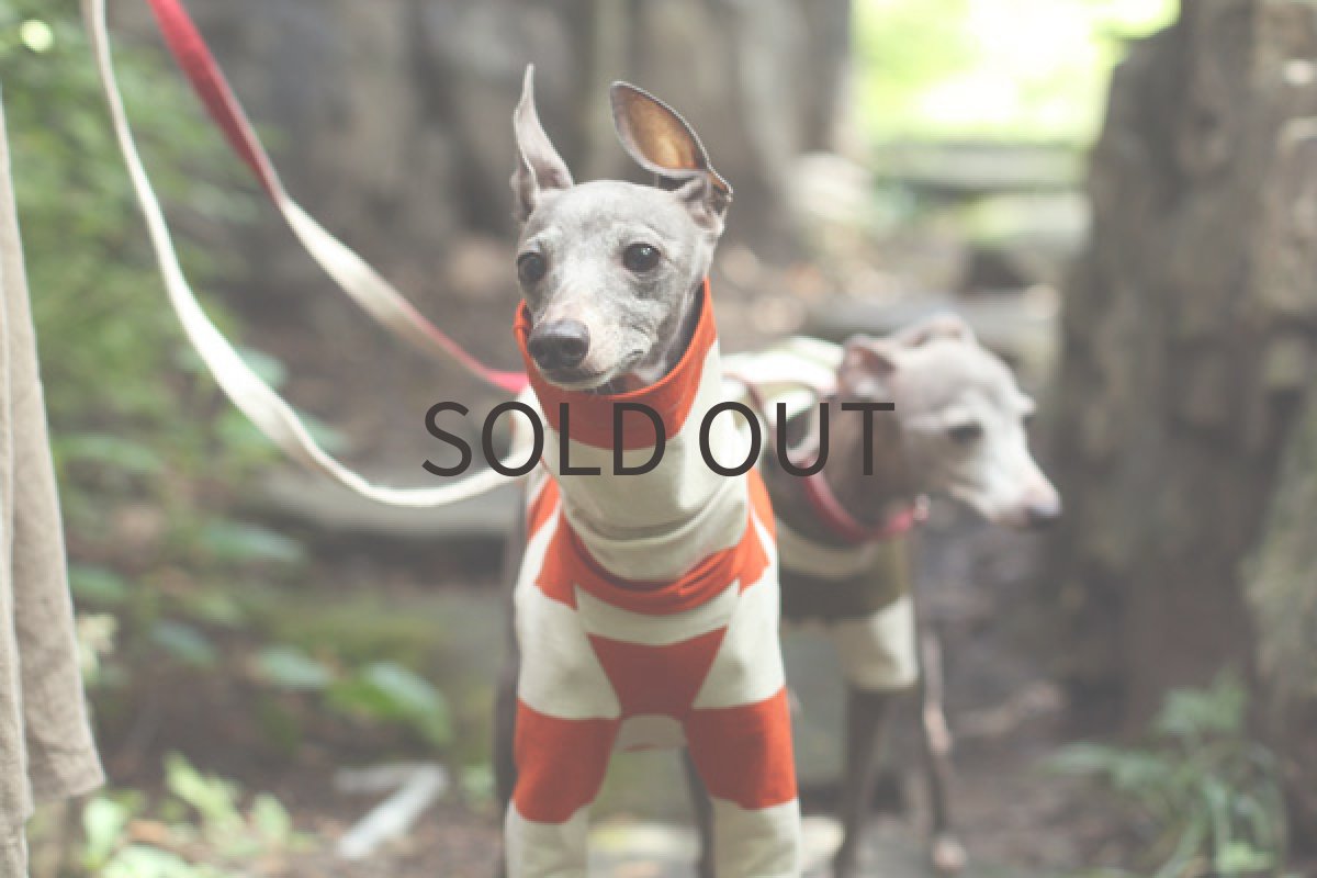 画像2: エーゲ海コットンのシャツ（バーミリオン） (2)