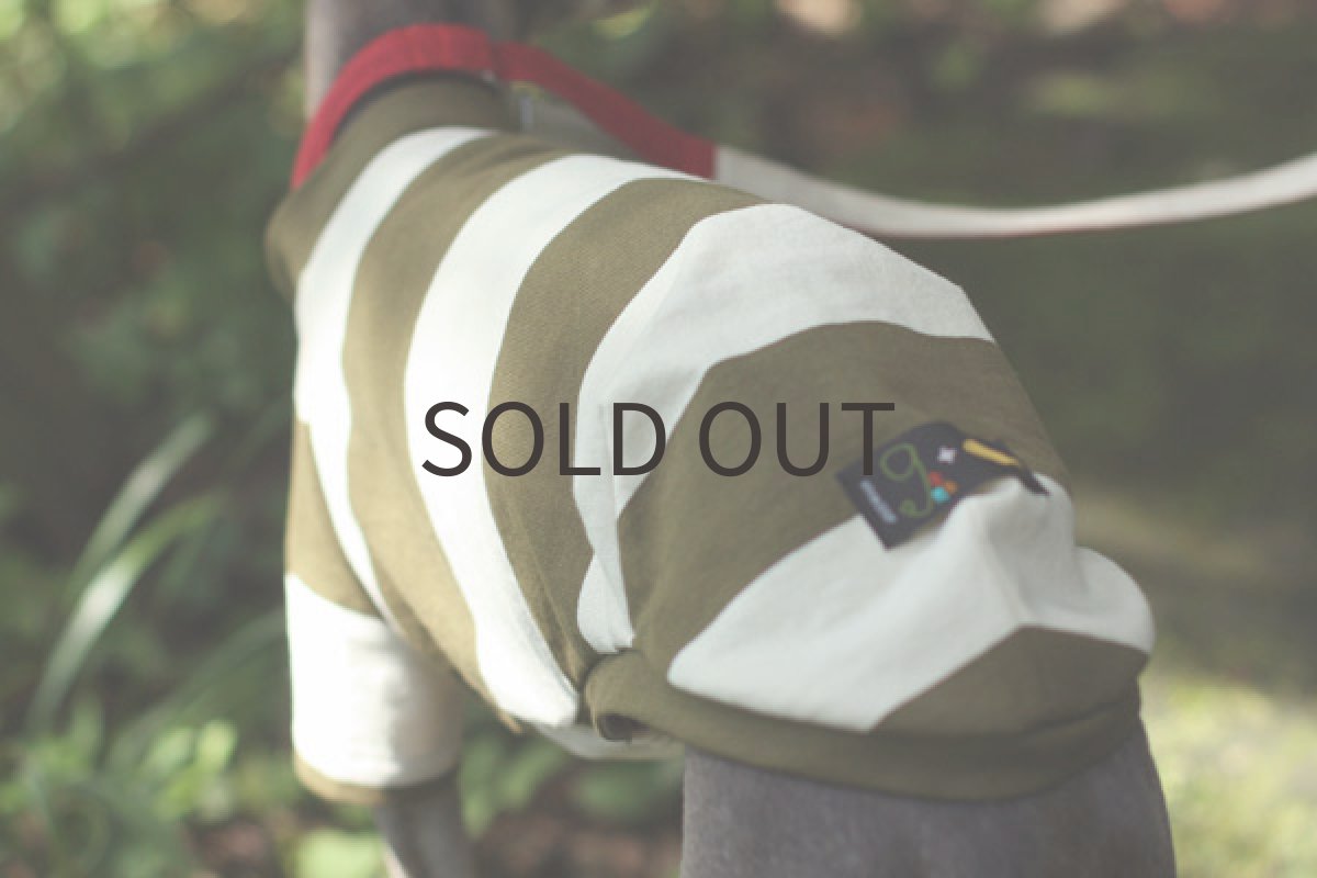 画像3: エーゲ海コットンのシャツ（アイビーグリーン） (3)