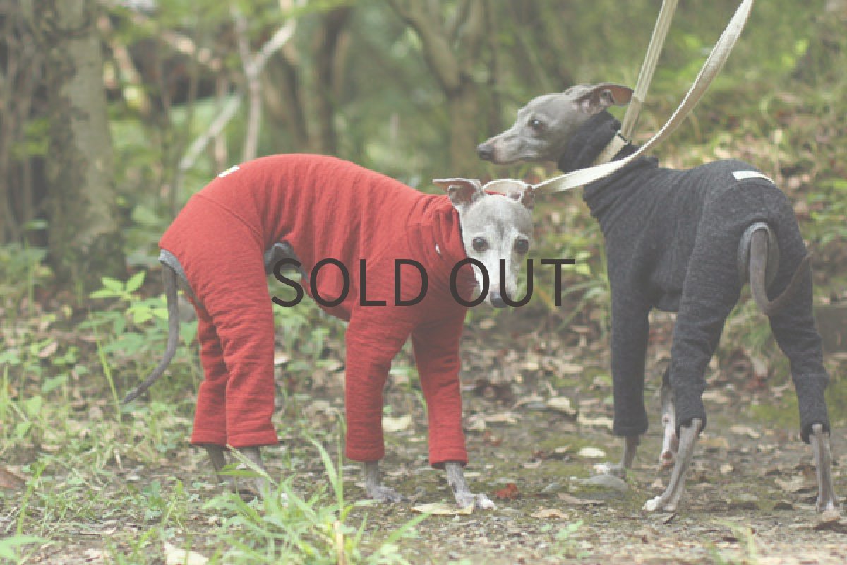 イタグレ服 ウール混の接結ロンパ（カーディナルレッド） 横