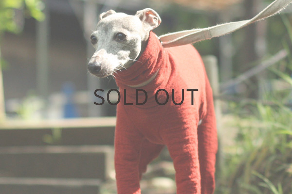 イタグレ服 ウール混の接結ロンパ（カーディナルレッド） アップ