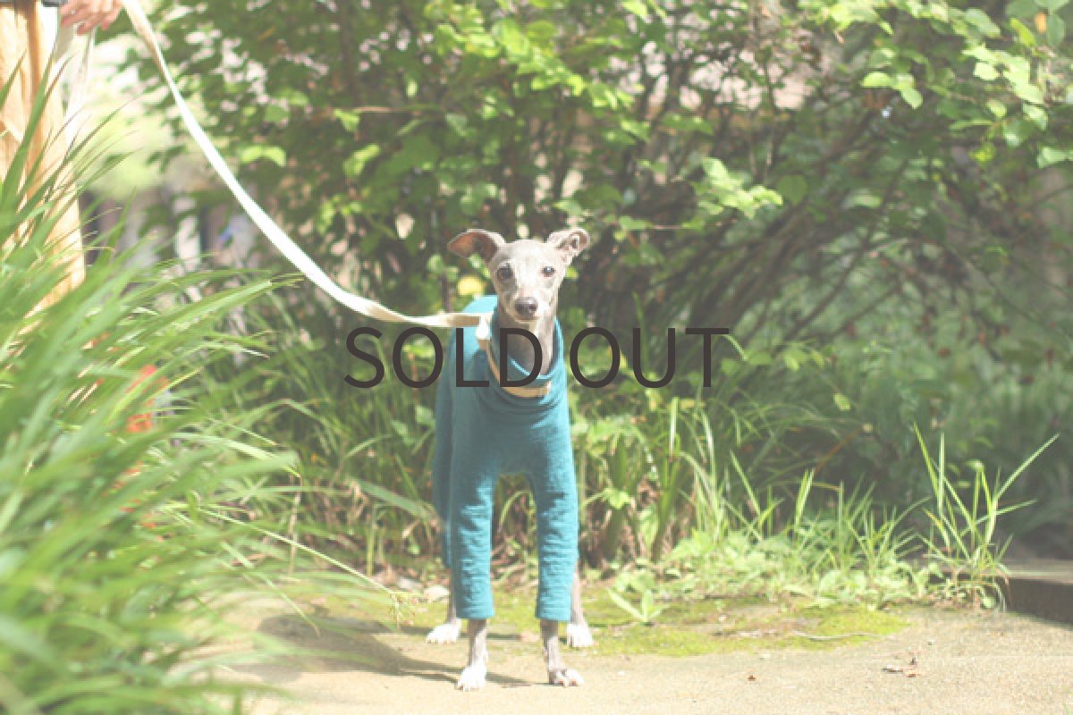 画像3: ウール混の接結ロンパ（ターコイズ） (3)