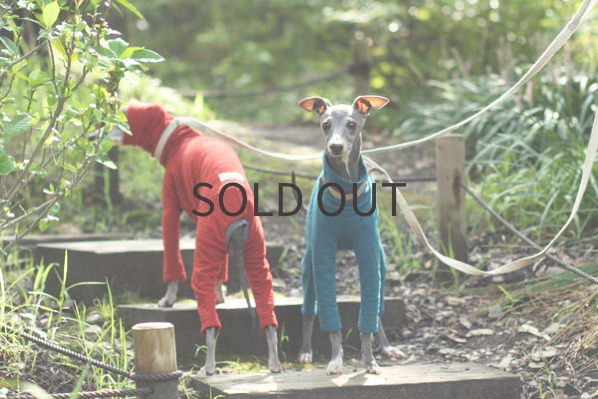 画像5: ウール混の接結ロンパ（ターコイズ） (5)