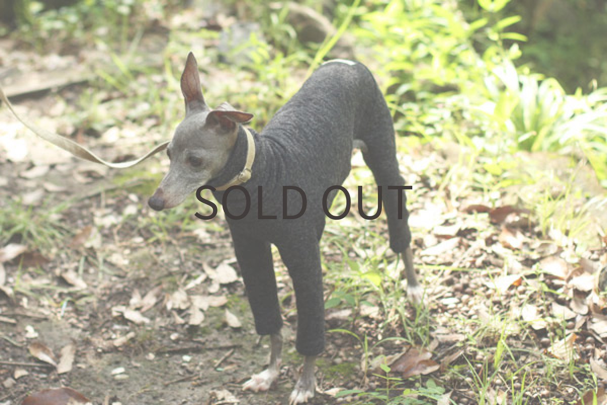 イタグレ服 ウール混の接結ロンパ（霜降りブラック） 上