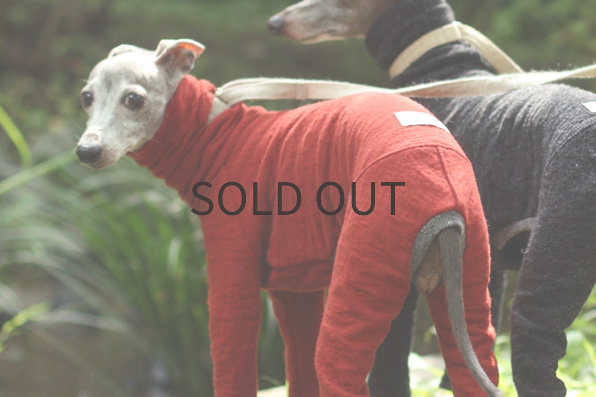 イタグレ服 ウール混の接結ロンパ（カーディナルレッド） 後方