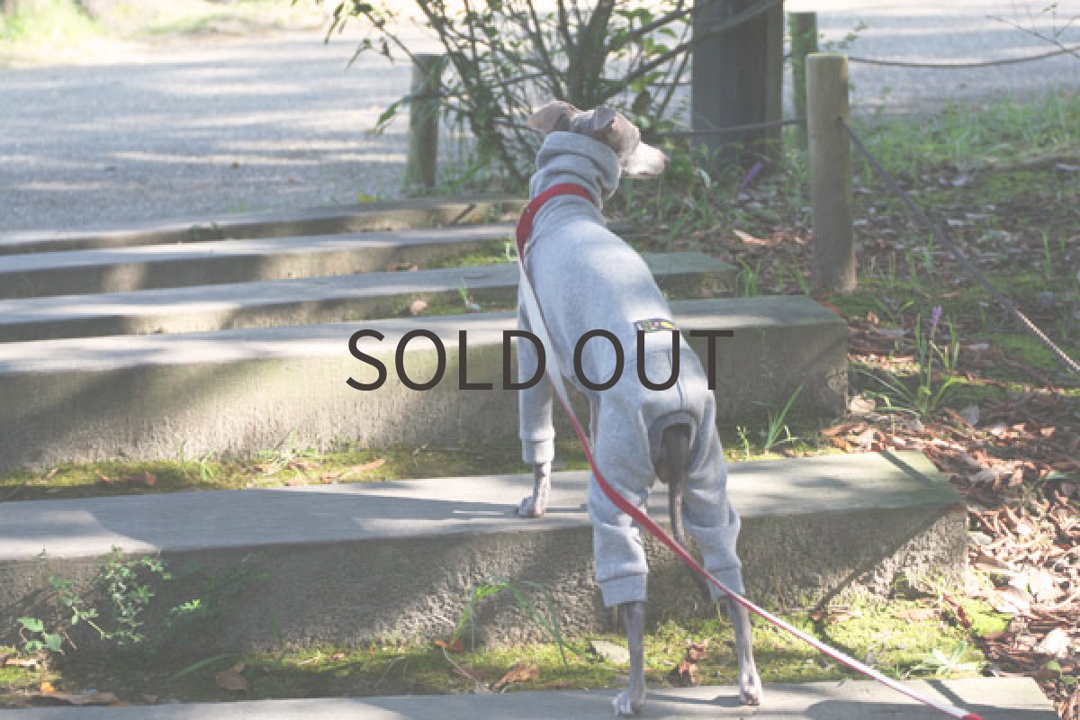 画像5: 裏起毛トレーナーロンパ（グレー） (5)