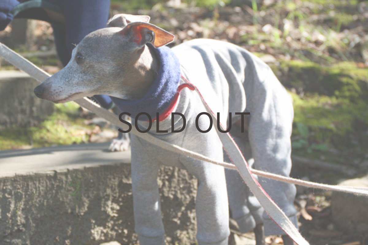 画像2: 裏起毛トレーナーロンパ（グレー） (2)