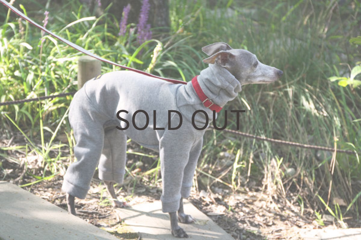 画像4: 裏起毛トレーナーロンパ（グレー） (4)