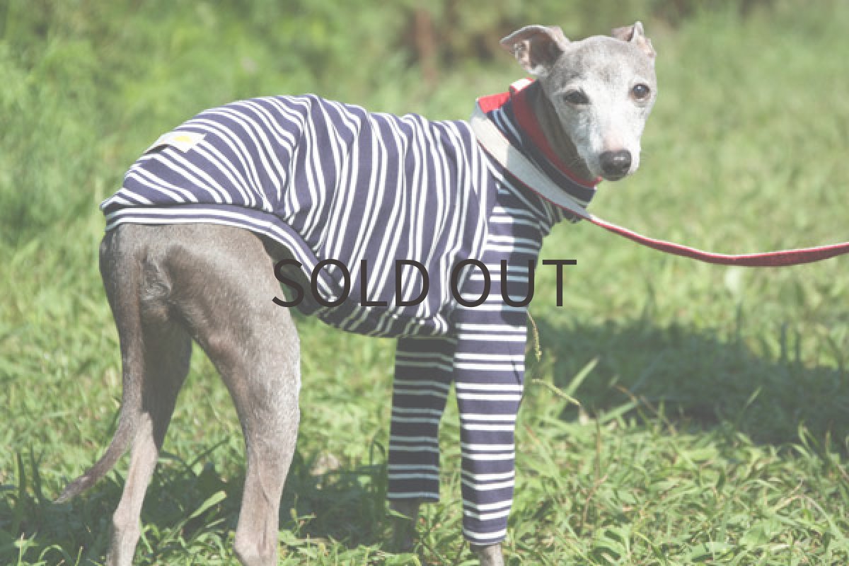 画像4: パターンボーダー（ネイビー） (4)