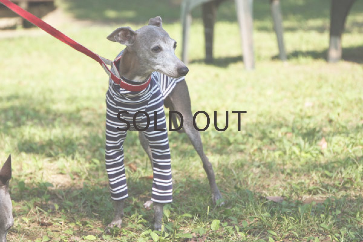 画像3: パターンボーダー（ネイビー） (3)