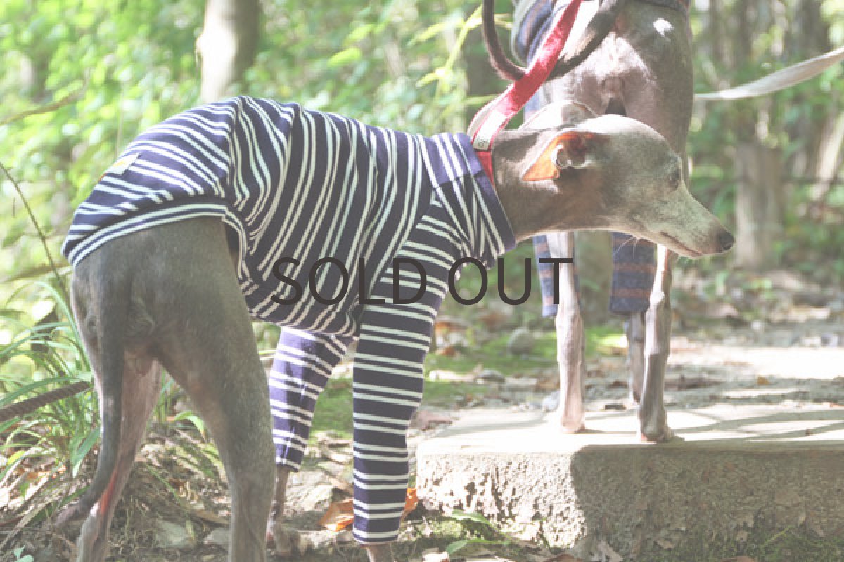 画像2: パターンボーダー（ネイビー） (2)