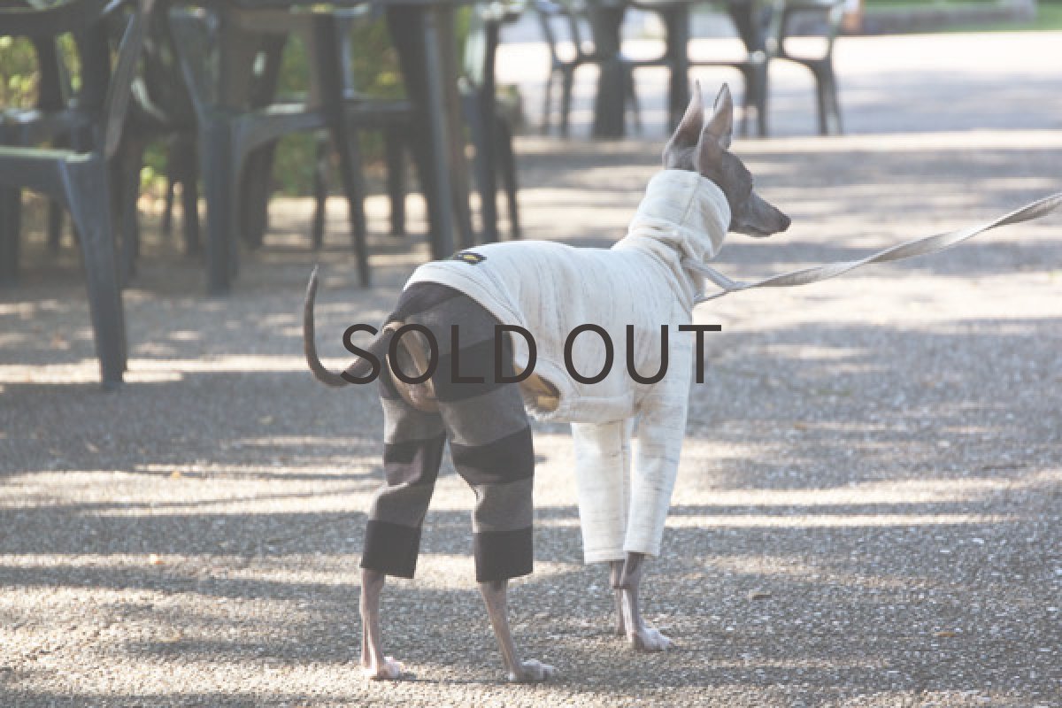 画像4: ボーダーパンツのロンパース (4)