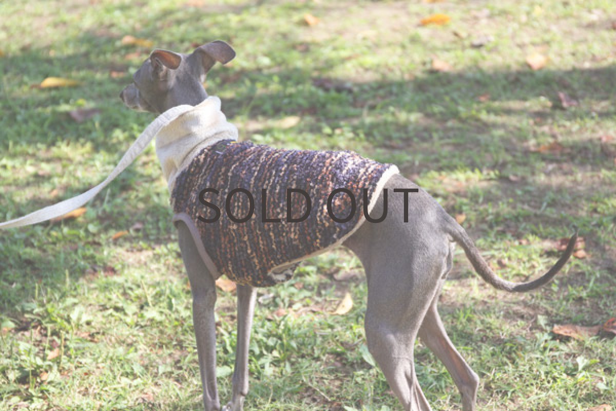 画像3: 裏全面ファーのダブルベスト（ネイビー） (3)