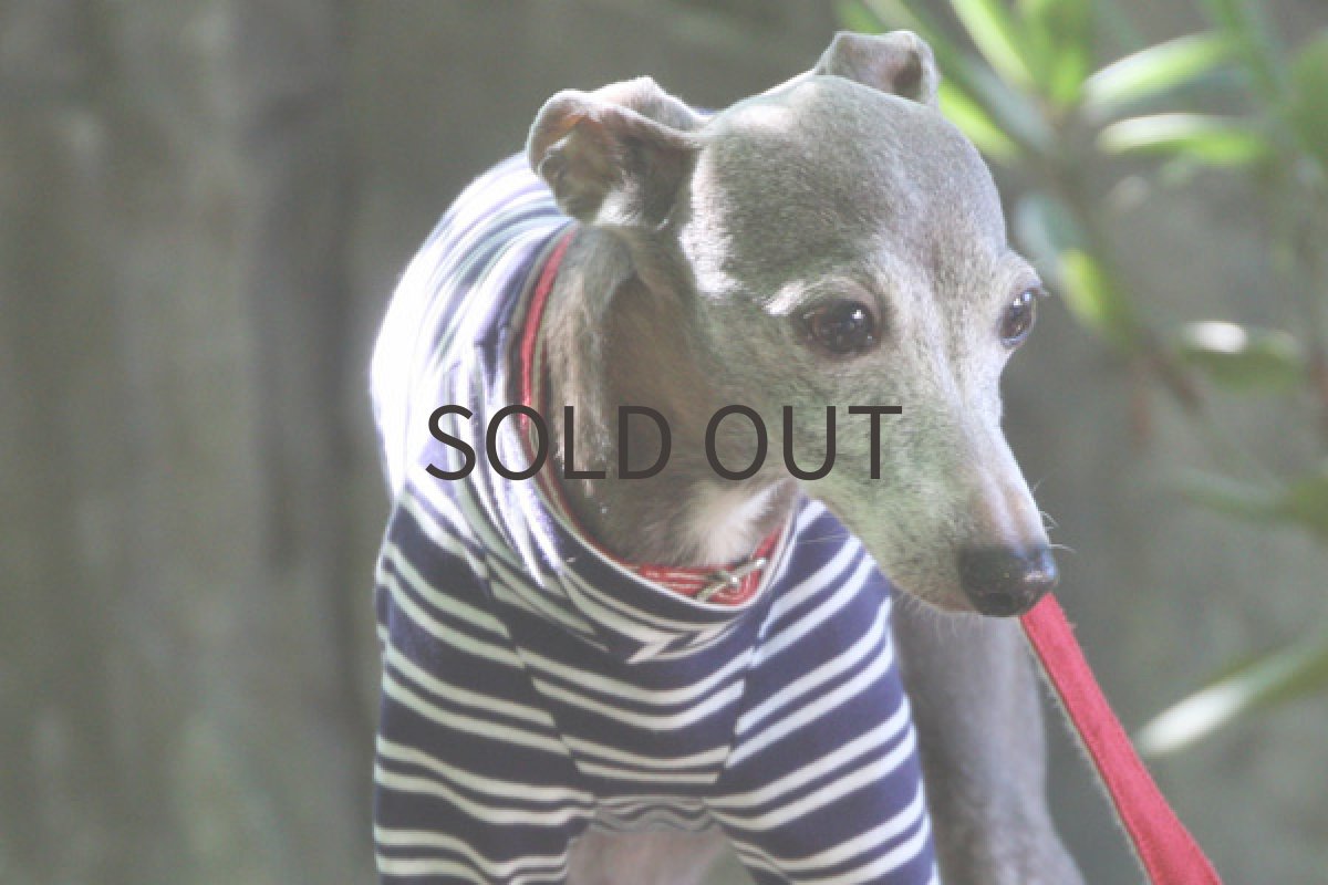 画像5: パターンボーダー（ネイビー） (5)