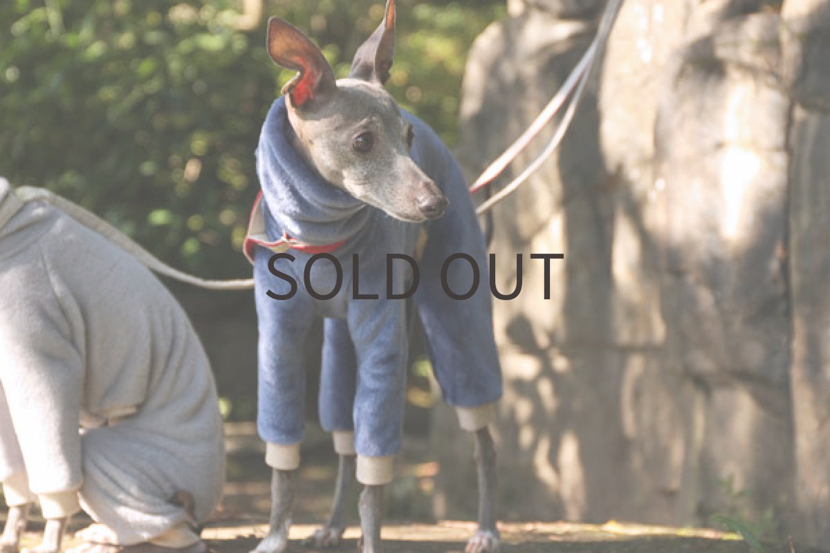 画像4: エクストラヒート（アッシュブルー） (4)