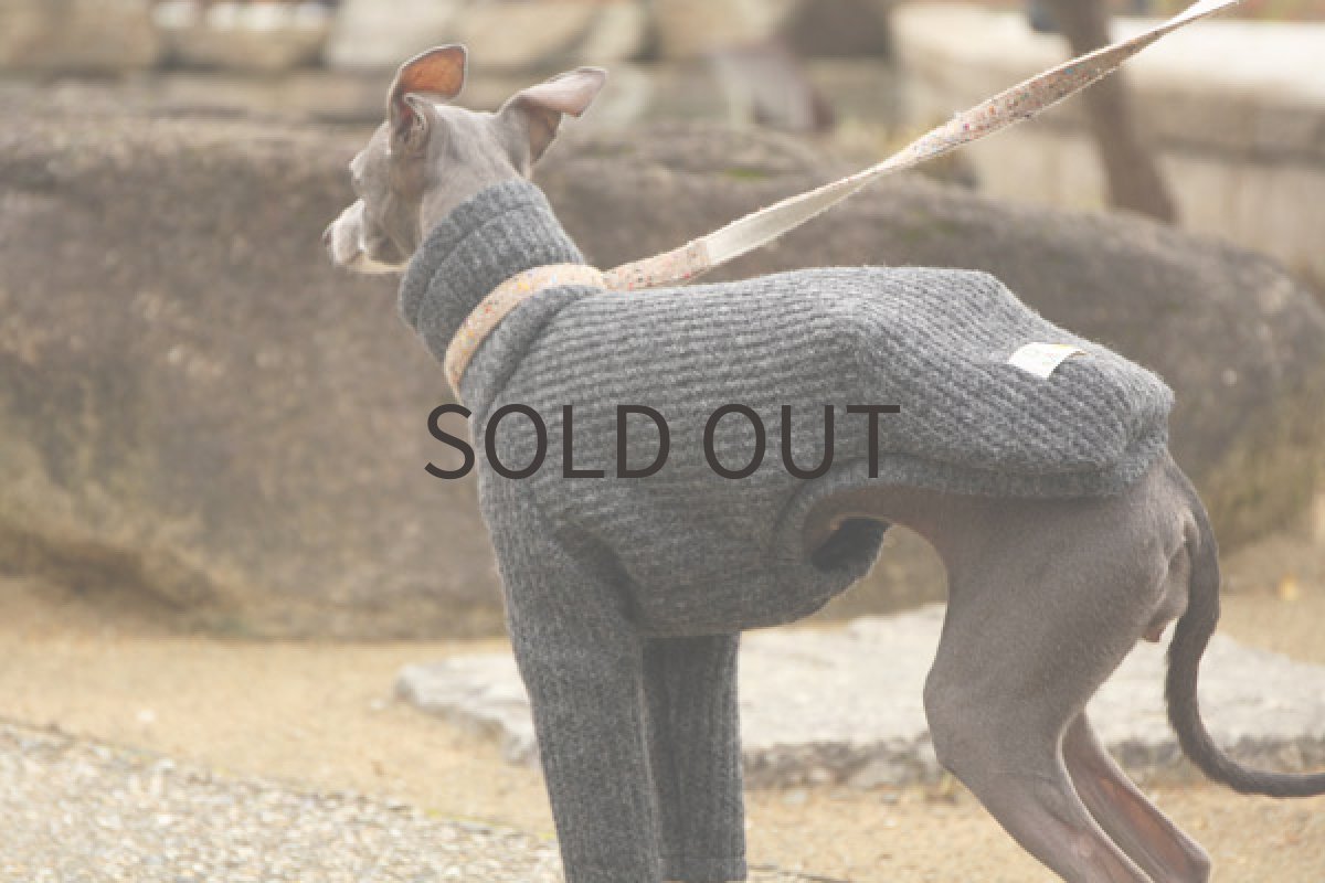 画像5: Italyスライバーニットのシャツ（チャコール） (5)