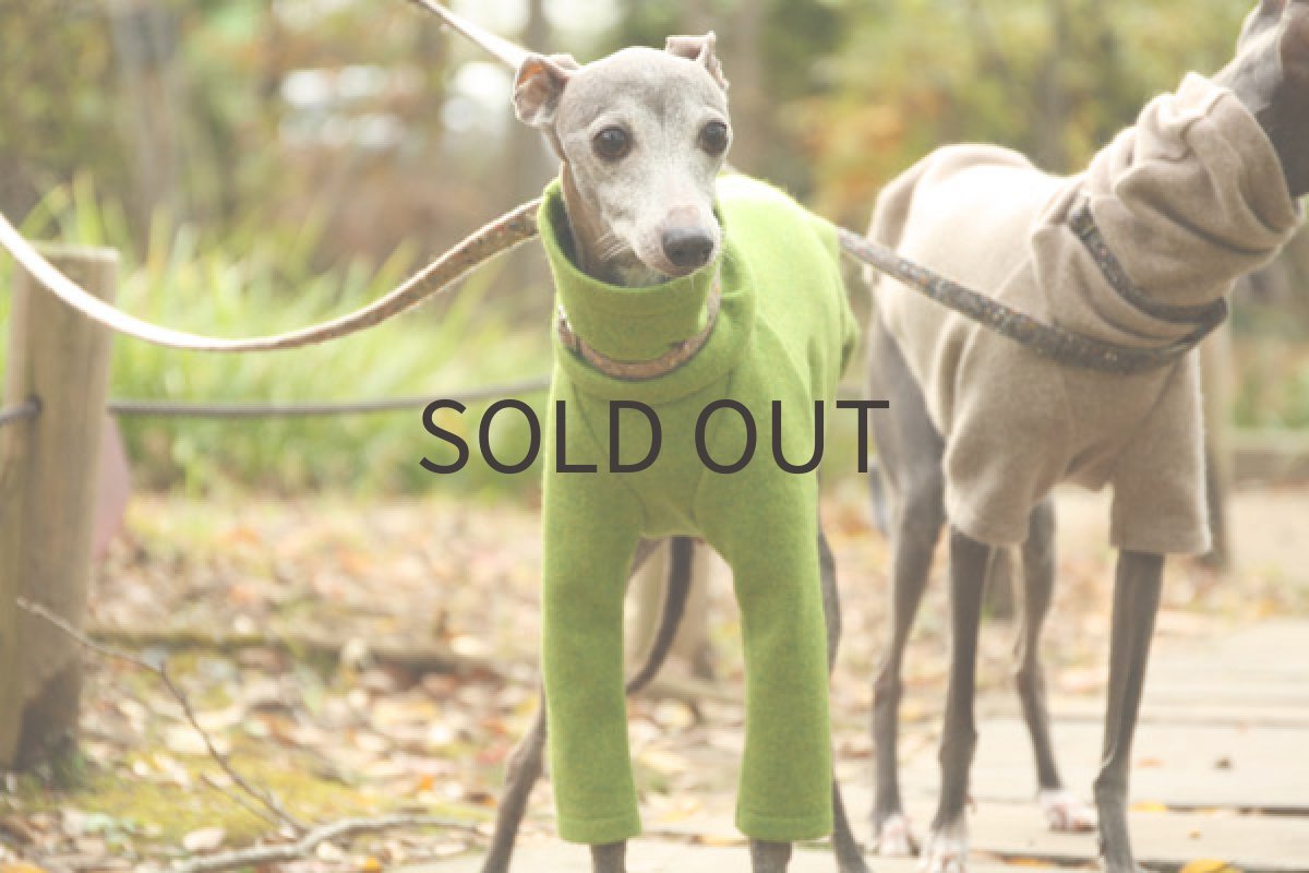 画像5: アンゴラ混ウール（ピスタチオ） (5)