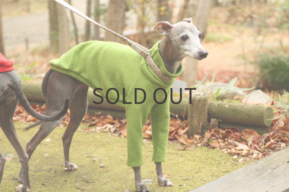 画像2: アンゴラ混ウール（ピスタチオ） (2)